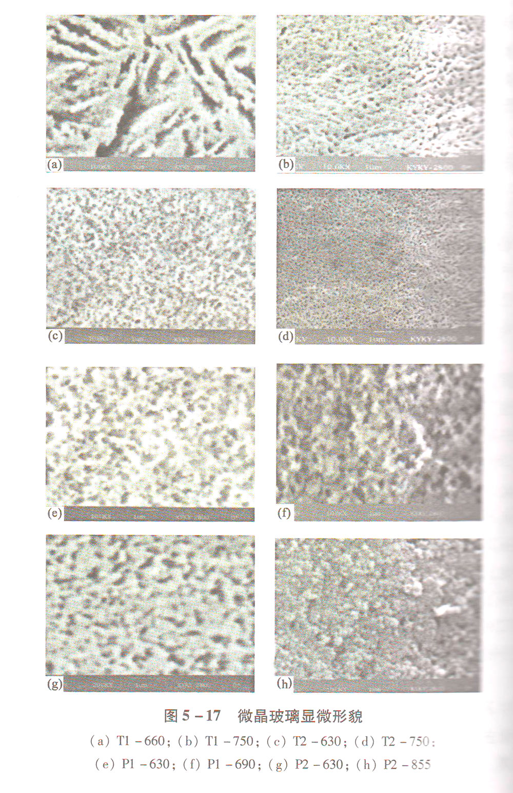 ΢���������@΢��ò